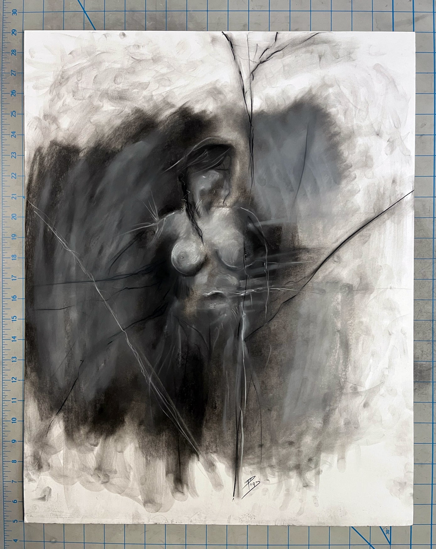 Figure 1 - Original Charcoal Illustration